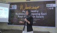 Inovasi Baru, Kopi dan Sawit Bersanding di Lahan Petani