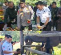 Beri Nama Nona Seroja, Irjen Herry : Kelahiran Ini Peristiwa Berharga Bagi Riau dan Konservasi