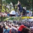 Korporasi Cukong dan Toke Dalang TNTN Tak Ditindak , AMMP Minta Keadilan