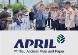 Dampak Eucalyptus APRIL Group, Hasil Penilitian Aktivis Ini Mengejutkan