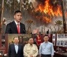 Rangking 1 Penyebab Kebakaran, KMPKS: Presiden Harus Evaluasi Pohon Eukaliptus