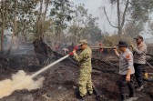Karhutla Kembali Marak di Pelalawan, Wabup dan Kapolres Ikut Berjibaku Padamkan Api