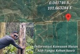 Deforestasi Kawasan Hutan, GP3 Desak Satgas PKH Kembali Bertindak