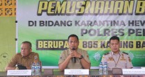 Unit II Polres Pelalawan Kembali Musnahkan 7,5 Ton Bawang Ilegal