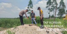 Dua KM Korban Diseret Harimau, Begini Keterangan Polisi
