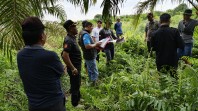 Merasa Terusir di Kebunnya Sendiri, Begini Nasib Petani Sawit Sungai Menasib