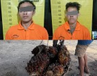 Curi 14 Tandan Sawit Warga Pekanbaru, Dua Pelaku Diringkus Polisi