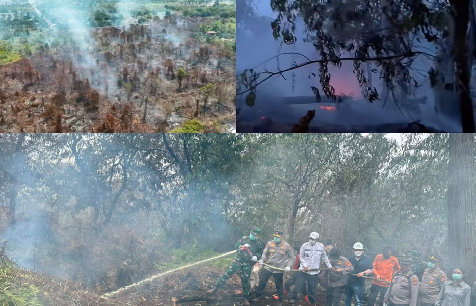 Hamparan HTI dan Sawit Terpampang Saat Karhutla, KMPKS: Gakkum KLH 