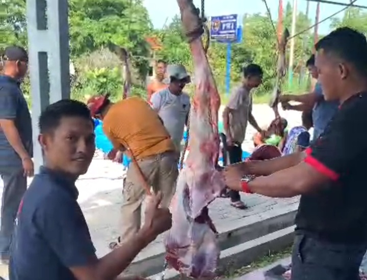 Pemotongan Perdana Sapi Qurban di PWI Pelalawan Berjalan Lancar