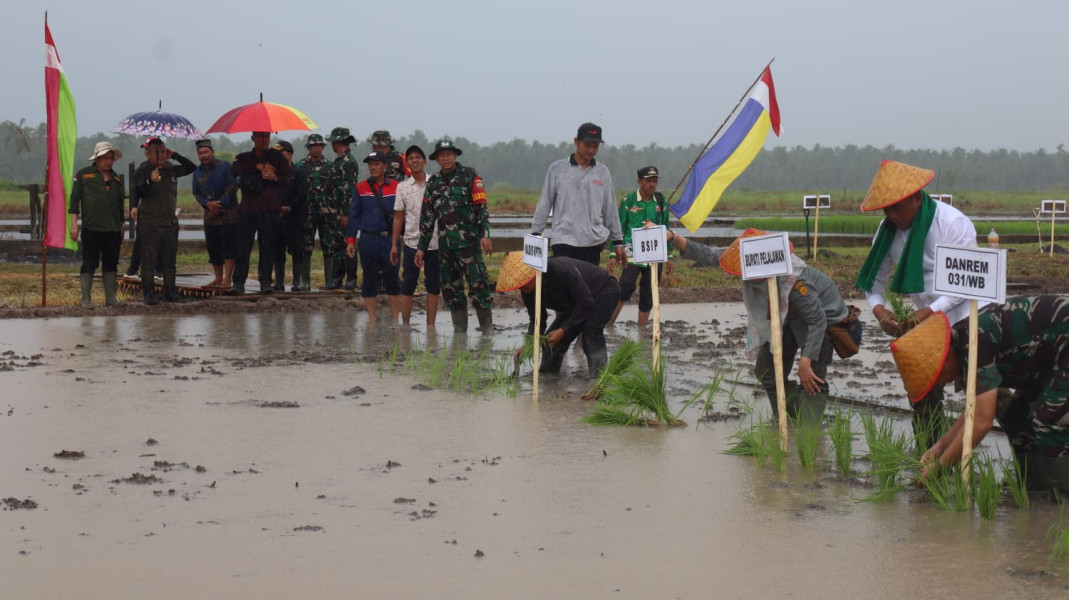 Penanaman Padi IP 200, Diharapkan Jalan Mewujudkan Swasembada Pangan