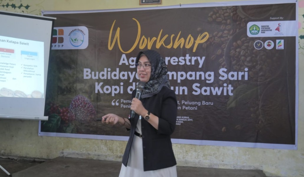 Inovasi Baru, Kopi dan Sawit Bersanding di Lahan Petani