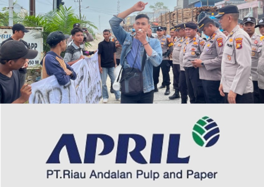 Dampak Eucalyptus APRIL Group, Hasil Penilitian Aktivis Ini Mengejutkan