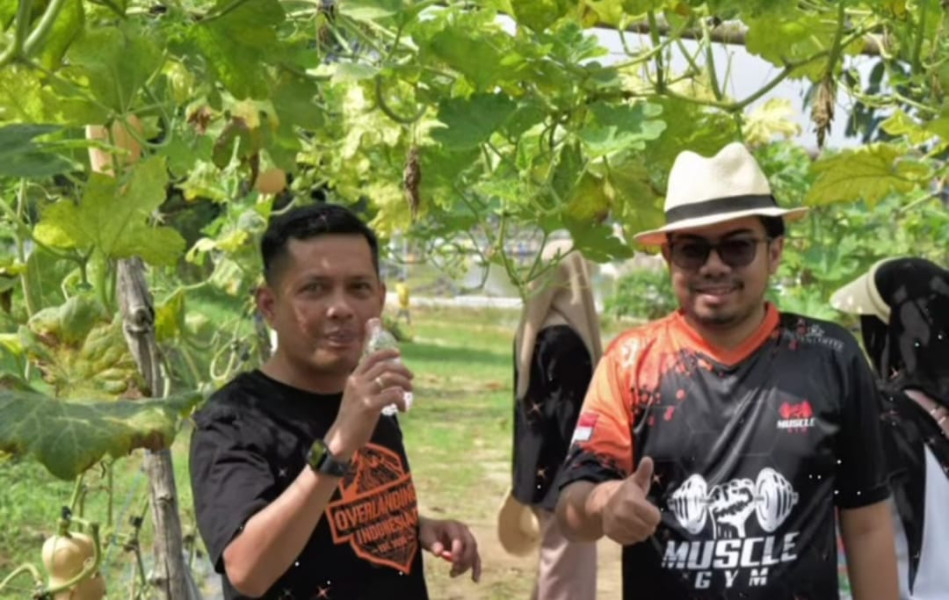 Ikut Panen Sayur di Kulim, Pimpinan DPRD Pekanbaru Janji Anggarkan Bantuan