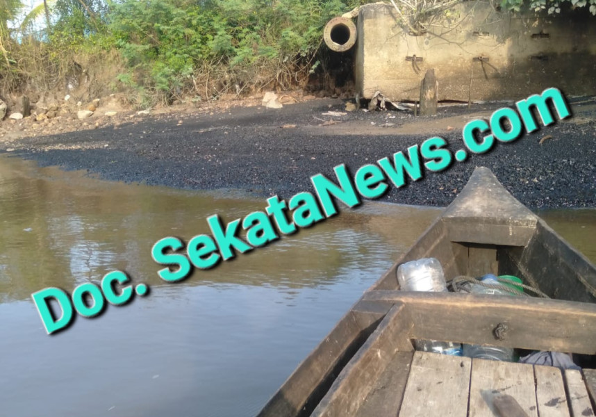 Diduga Cemari Sungai Siak, Aktivis Lingkungan Minta Tindak Tegas PLTU Tenayan