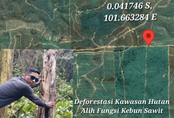 Deforestasi Kawasan Hutan, GP3 Desak Satgas PKH Kembali Bertindak