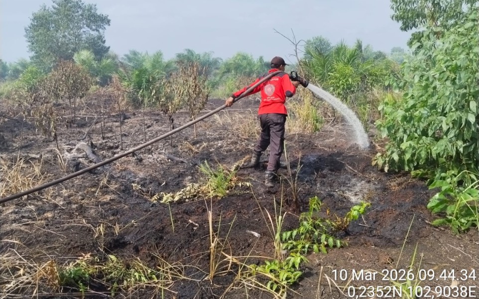 Lagi, Lahan Gambut Terbakar di Pelalawan