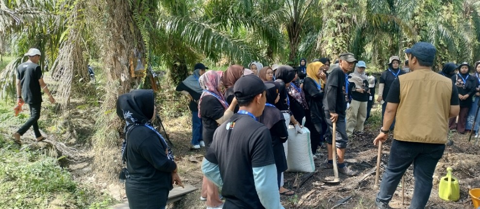 Menyala, Peserta Workshop Antusias Tanam Kopi Liberika di Lahan Gambut